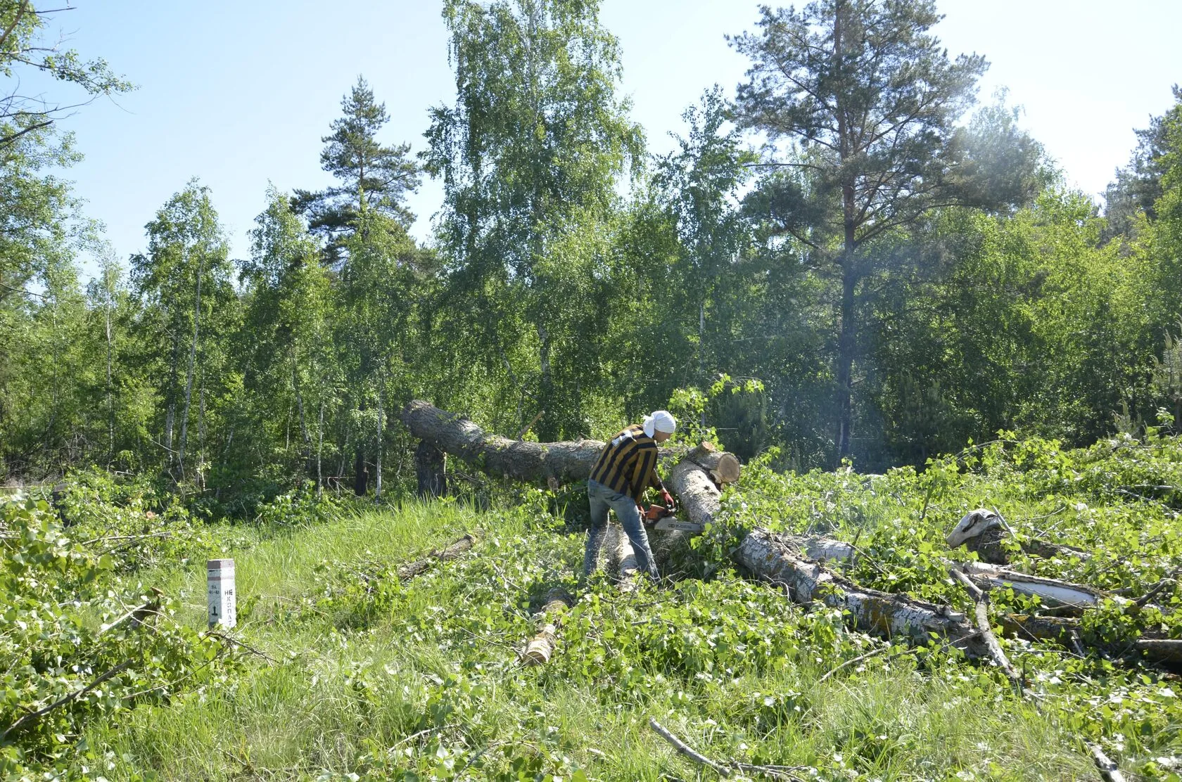 Корона-Харьков